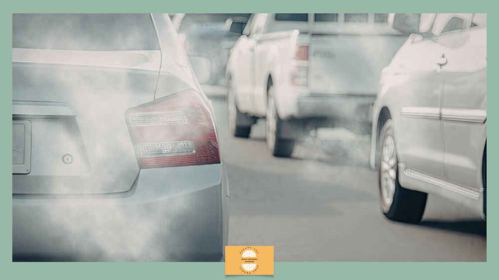 Adult Onset Eczema: A Growing Phenomenon in Adulthood - cars with exhaust fumes