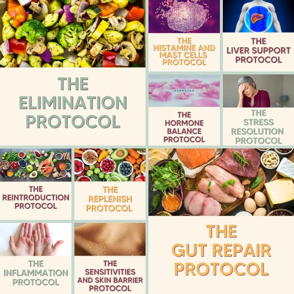10 Protocol Bundle 1 - Escape The Eczema Trap Collage of colorful food photos and protocol cards centered on 'The Elimination Protocol' with related health protocols around it.