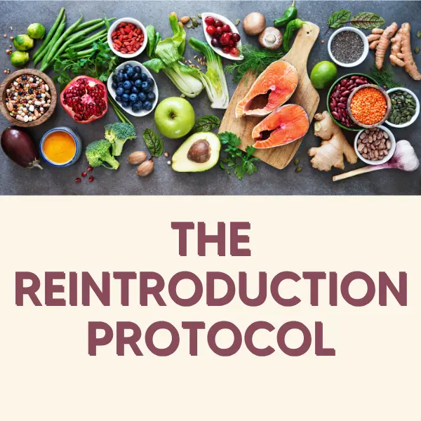 Various fruits, meats, fish and vegetables, with the words 'The Reintroduction Protocol' in maroon letters underneath.